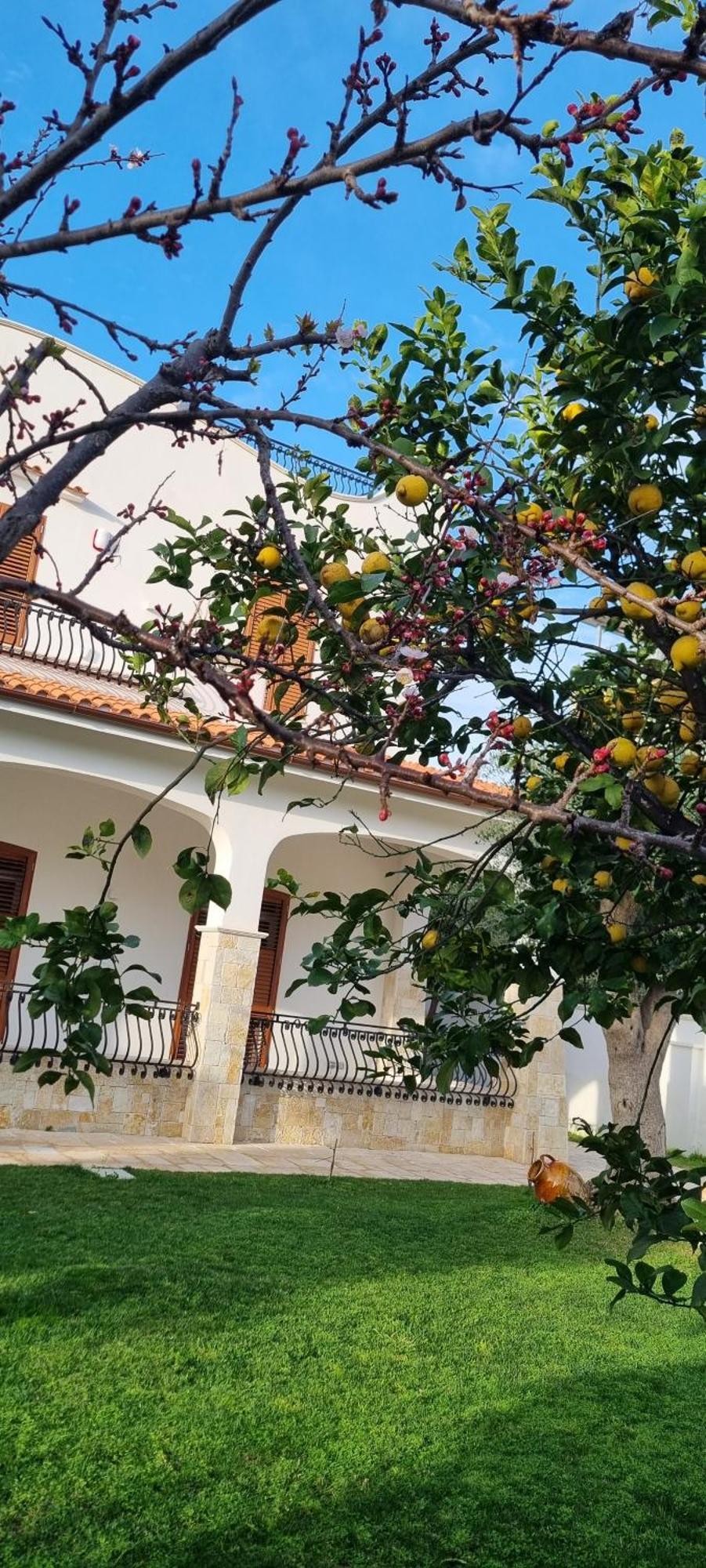Villa Guajira Bari Exterior photo