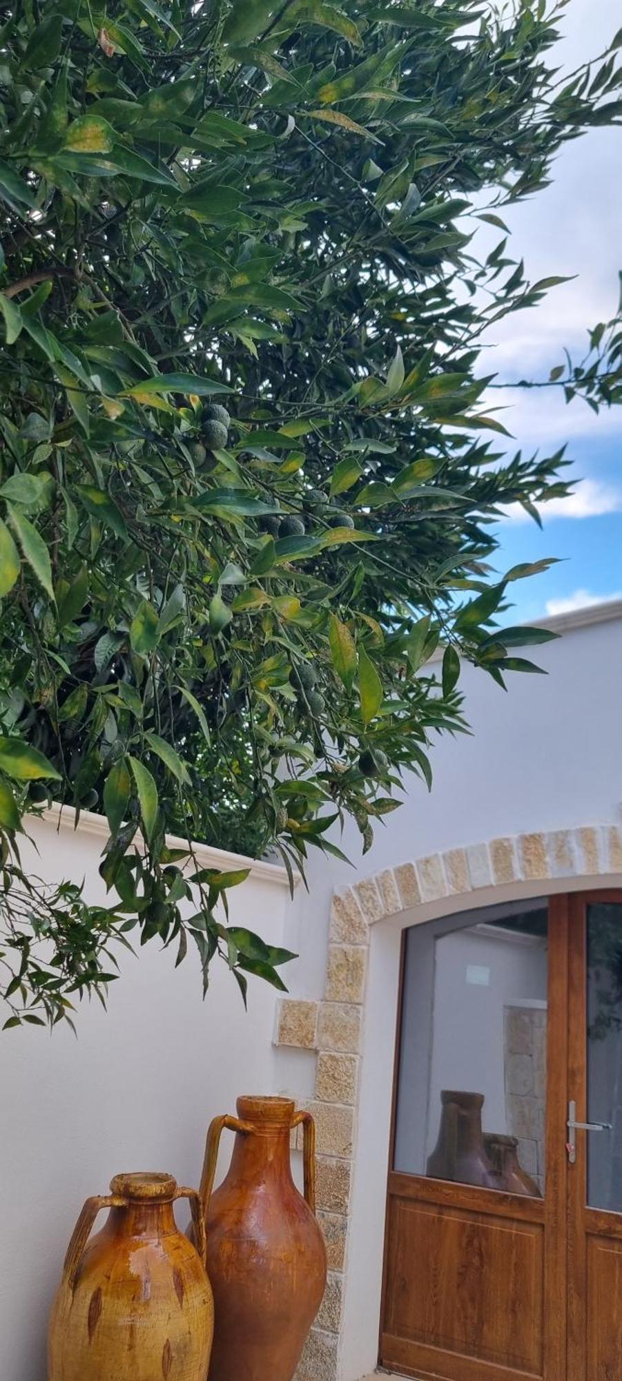 Villa Guajira Bari Exterior photo